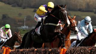 Arkle Chase favourite Kalashnikov